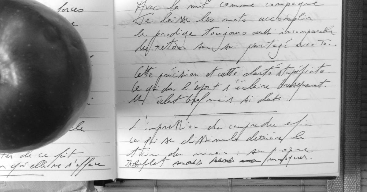 Petits Papiers Volants : Journal D'écriture 2003-2019- 10-12-2004
