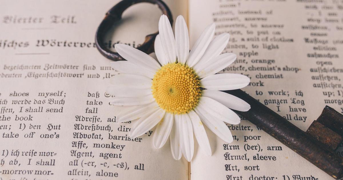 Abécédaire Open Opale