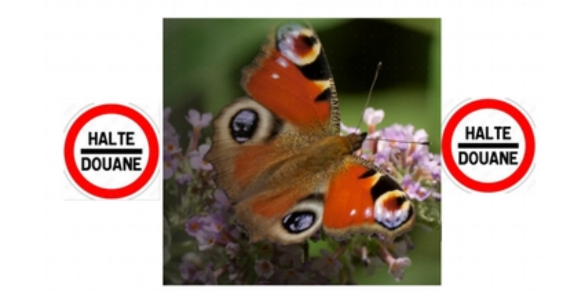 frontières de folie