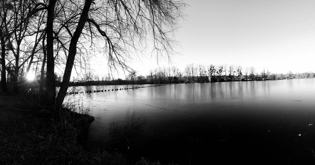 Chronique N°1 : Le Bonheur à 3 balles (ou la théorie de la grenouille)