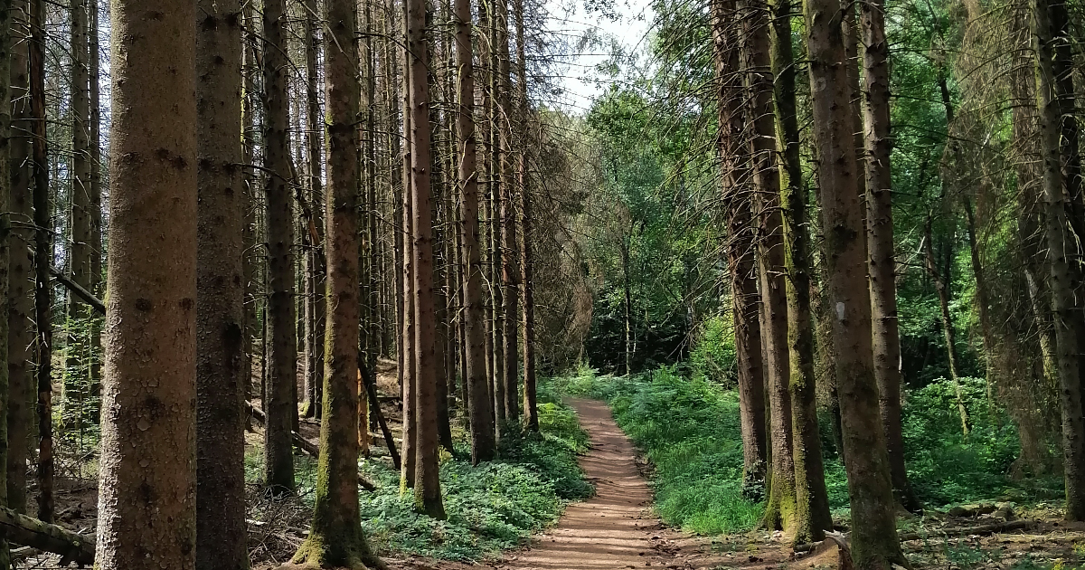 Concours de nouvelles dans le cadre du Trail Passe Partout : thème "le dernier ravito".