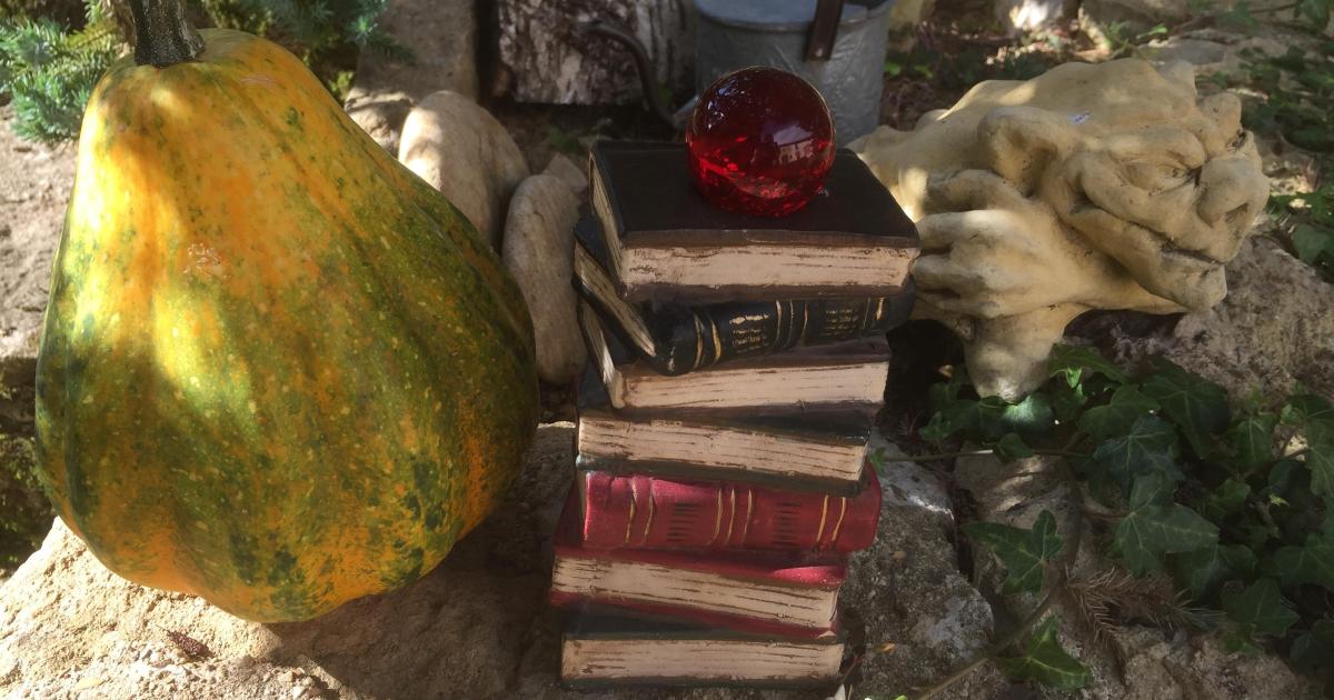 Le jardin du 5 Août