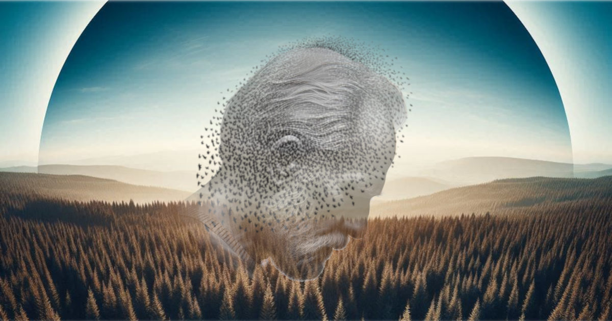 1. Le bois des étourneaux: découvertes et déceptions