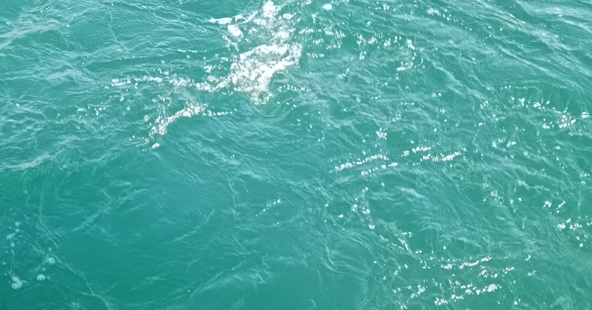 Premier texte: Amour, monde et toi.