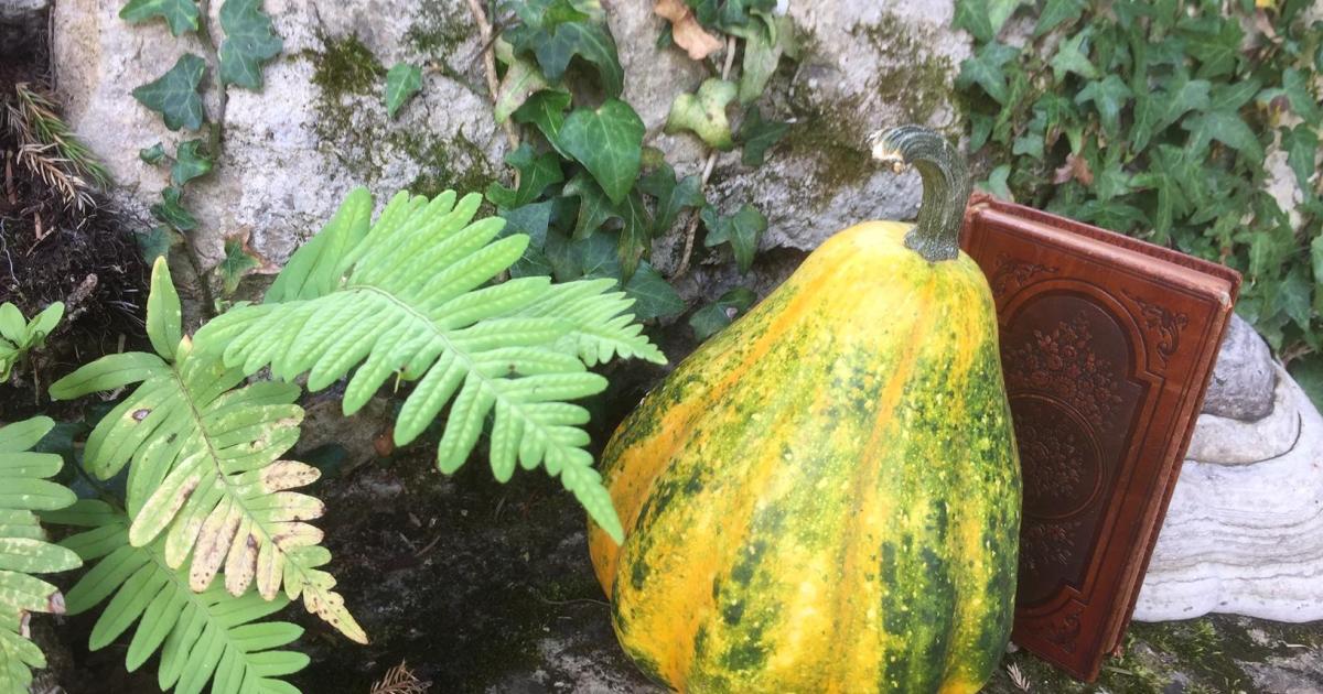 RECETTE POUR VOIR LES FÉES