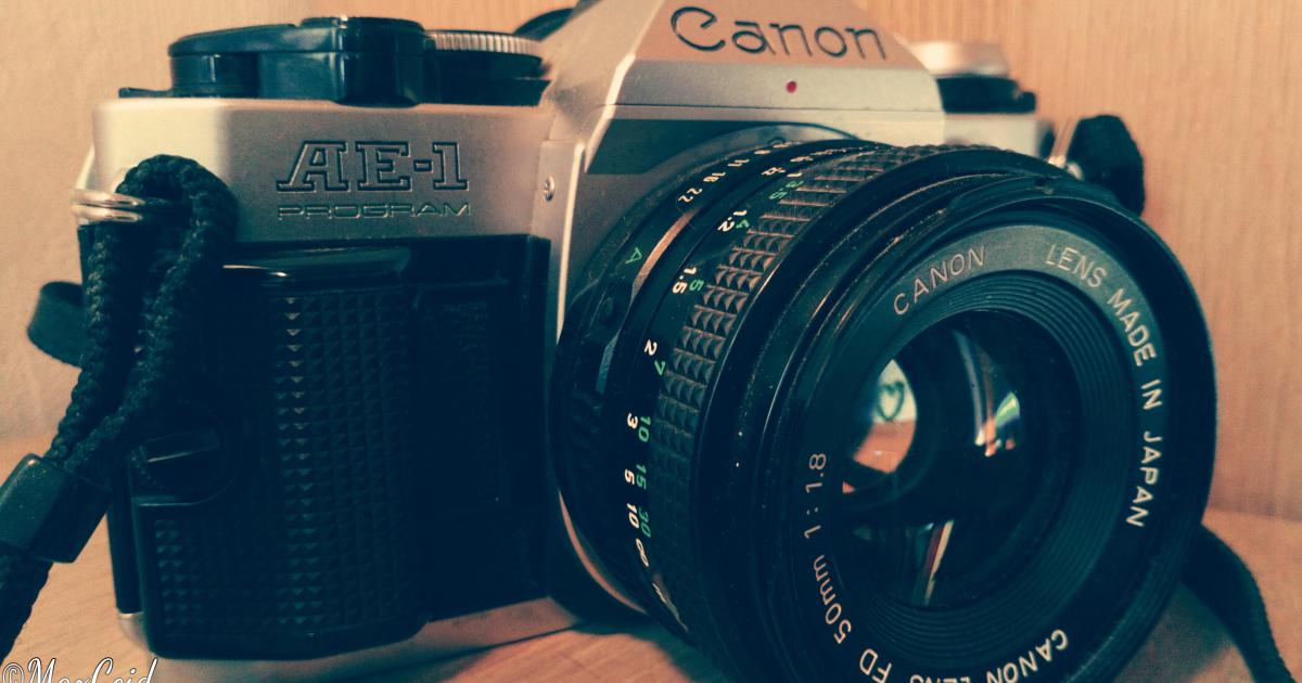 Et vous, vous voyez quoi?