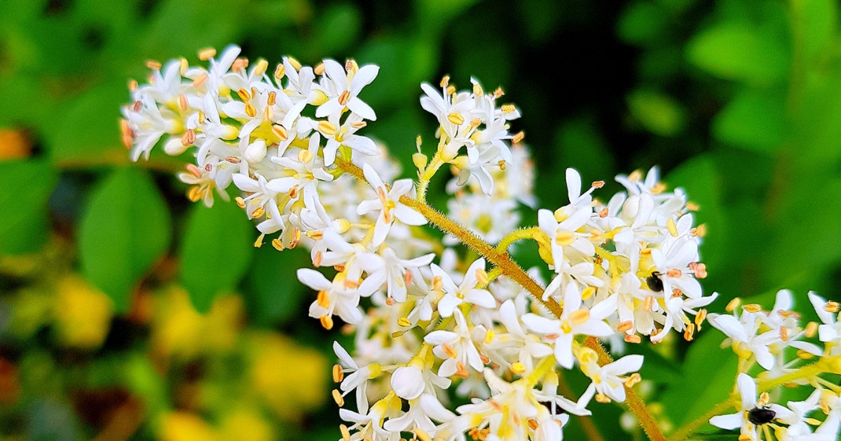 Chapitre 4 : La nuit des esprits