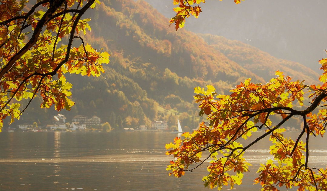 Moment de sérénité