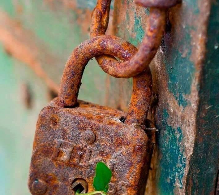 Conversation avec Eva sur la spirale systémique de l'engagement.