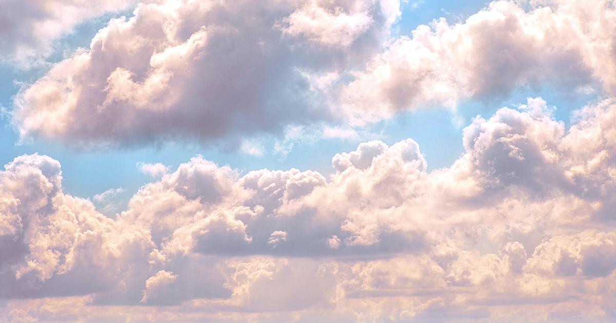 Une journée de Printemps