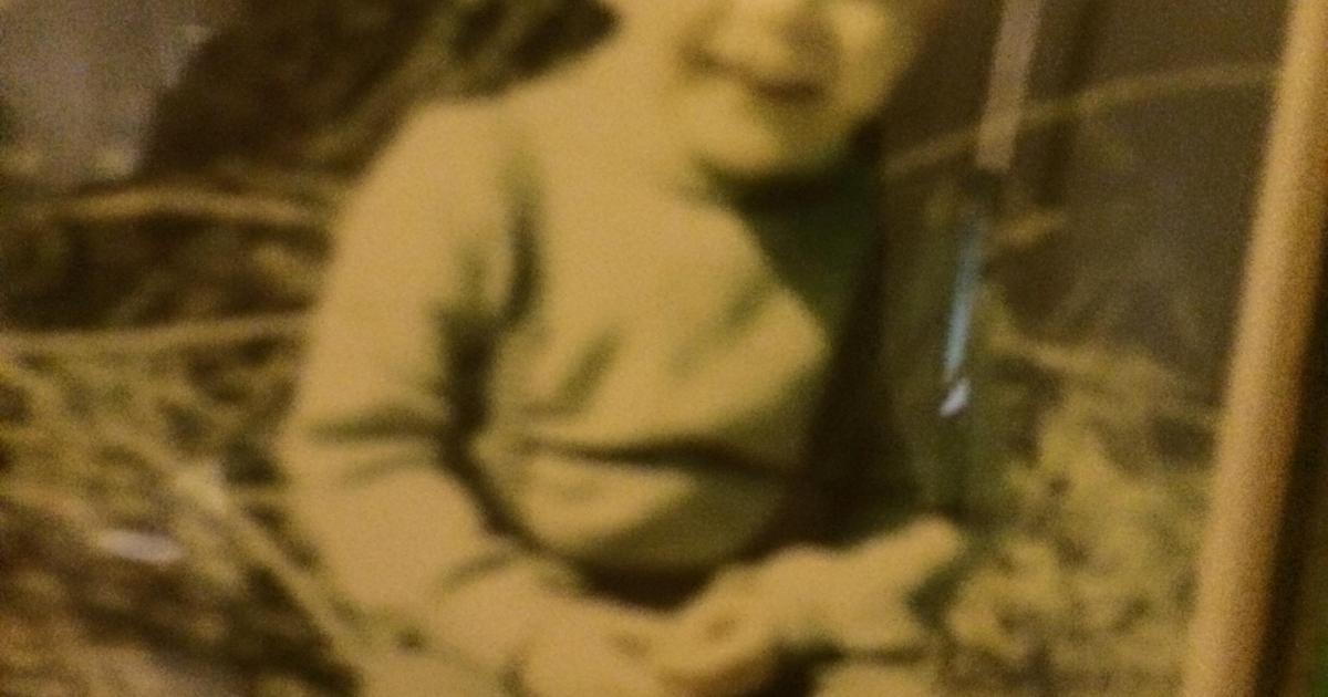 Le chien en tête de la file n'était pas le bon