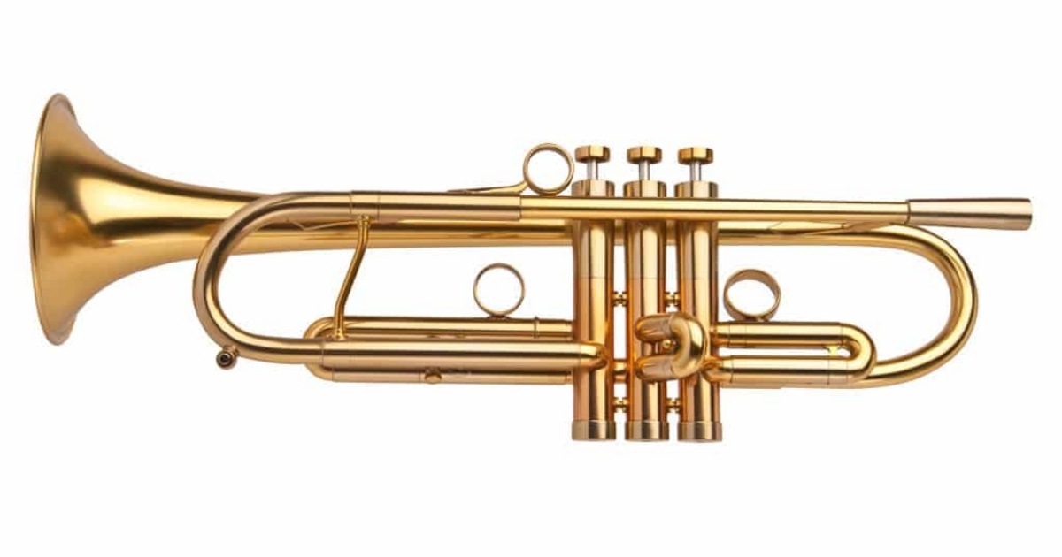 je veux du trumpisme de folie