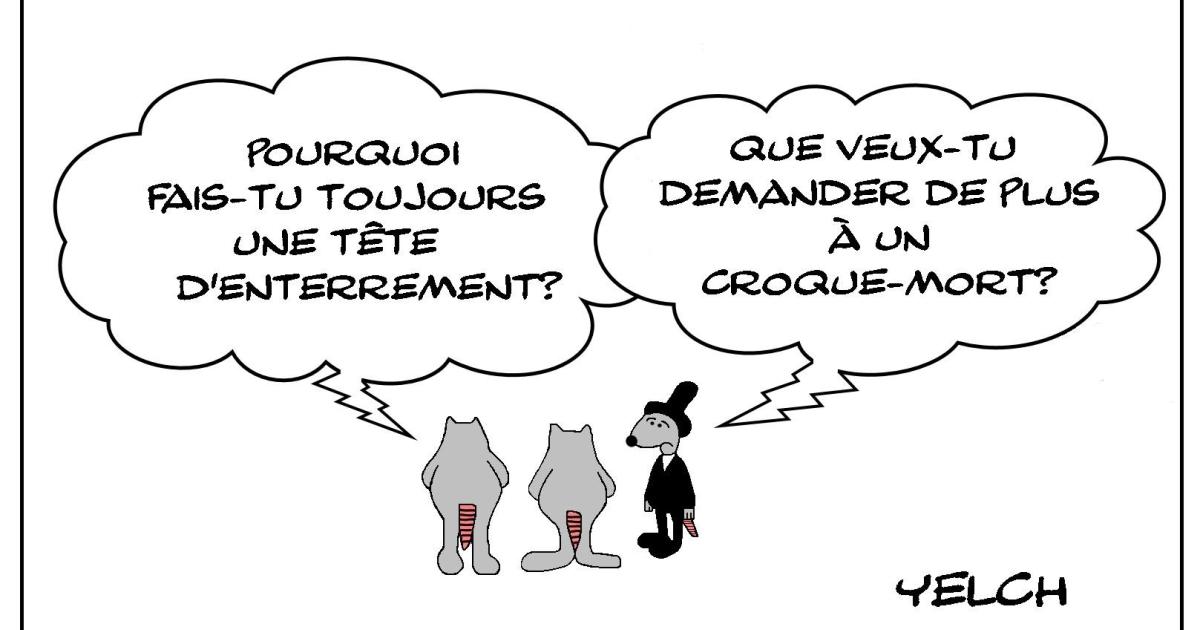 Le rat qui faisait une tête d'enterrement