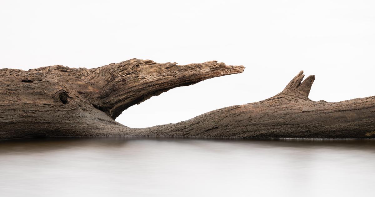 Jugement et corruption