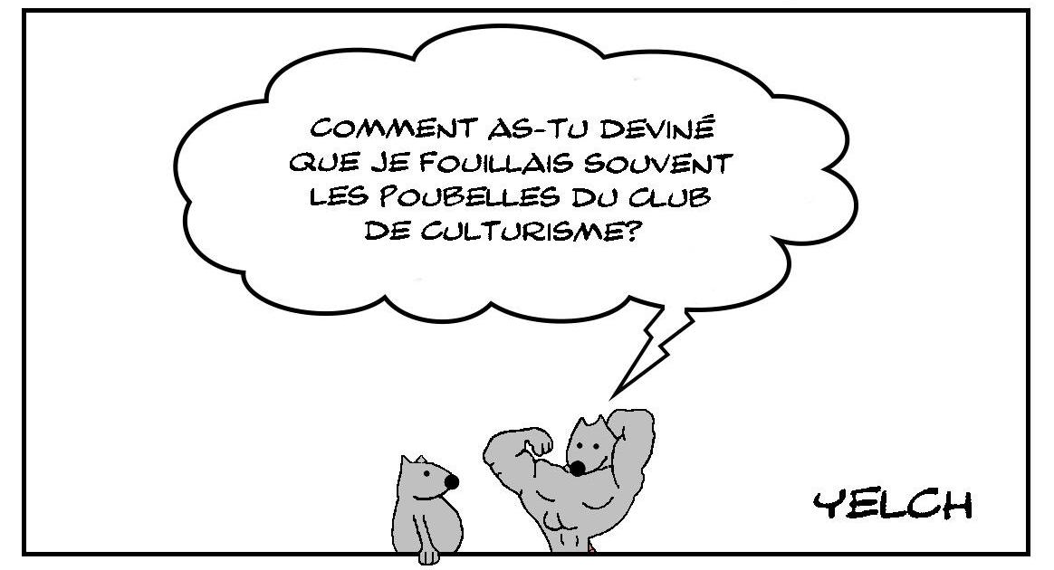 Le rat du club de culturisme