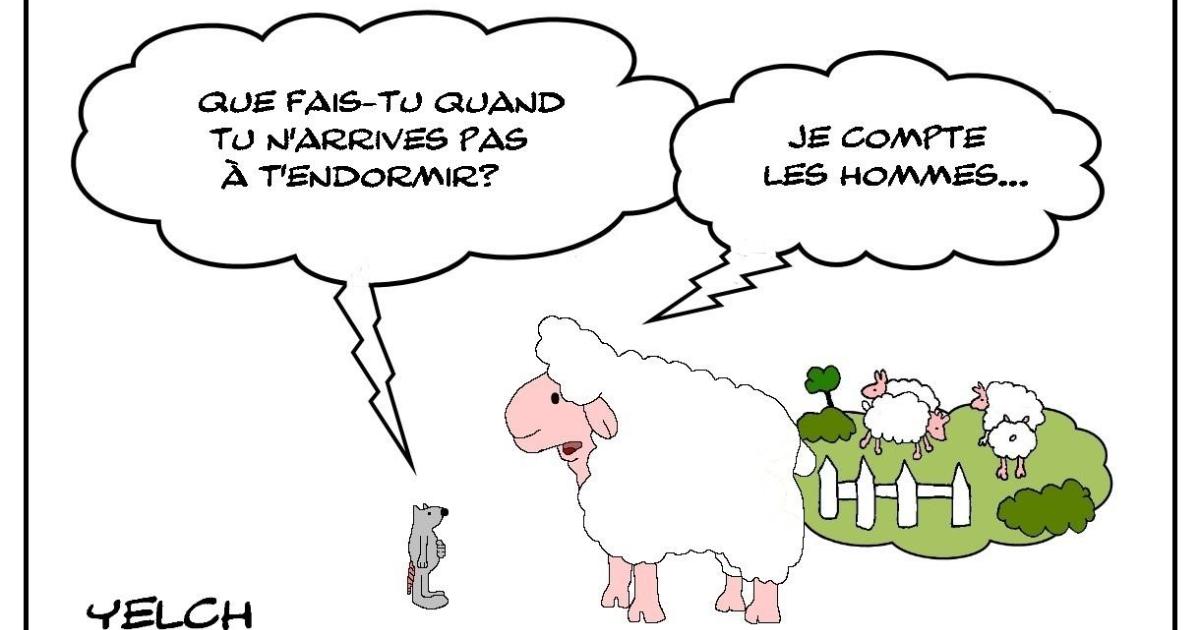 Quand les moutons dorment