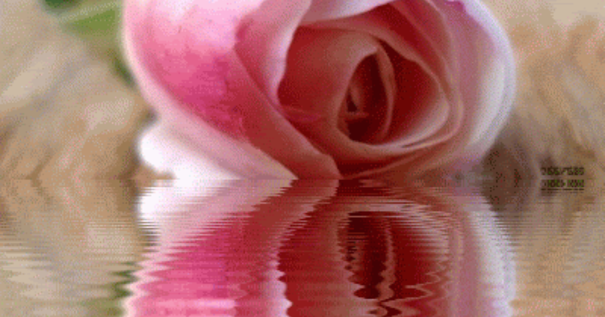 Une grande et belle Dame s'en est allée...