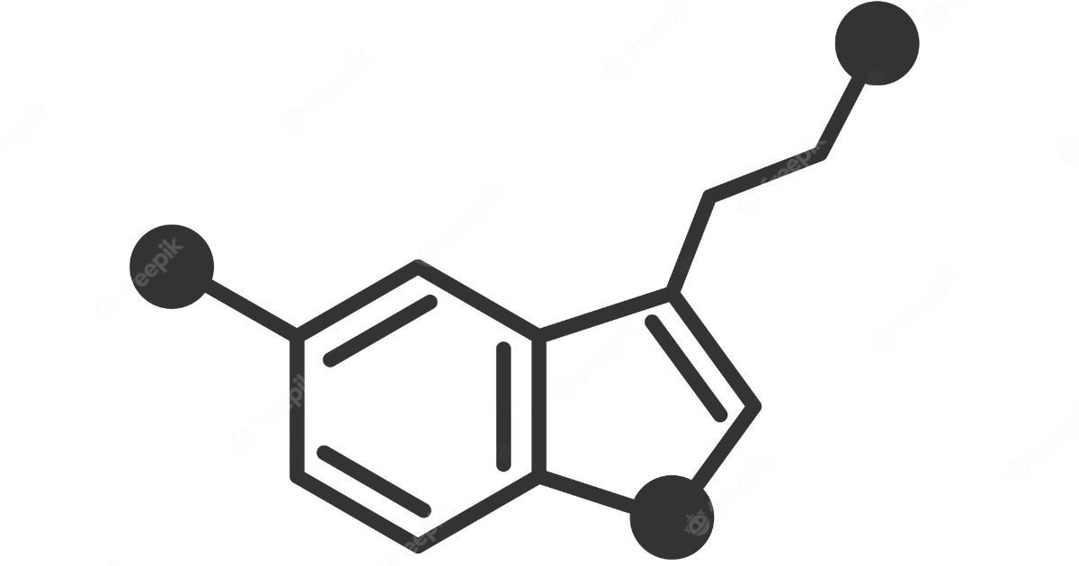 The Chemistry behind our happiness