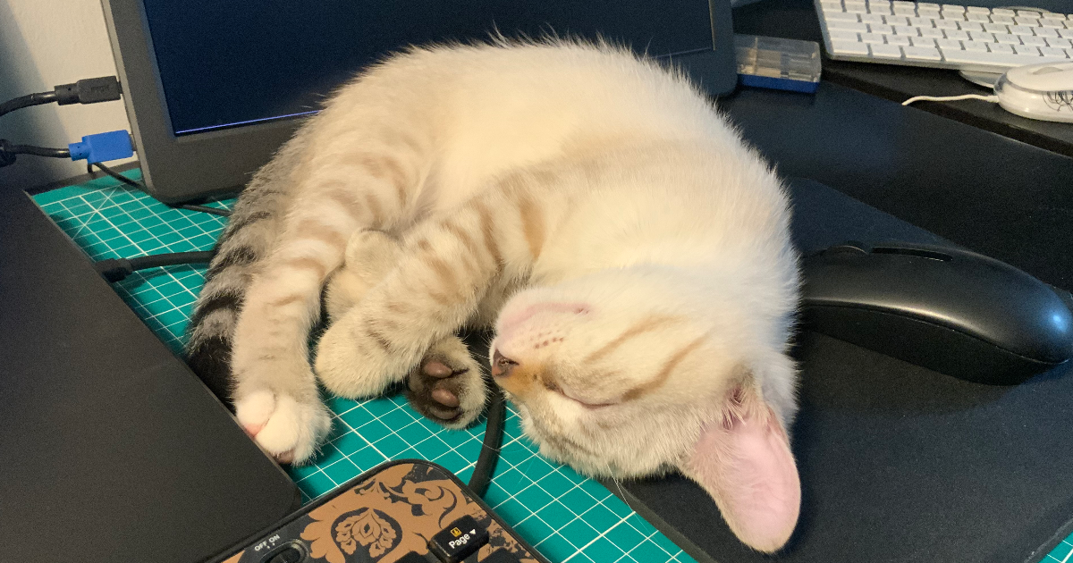 Why I don't accept every network connections