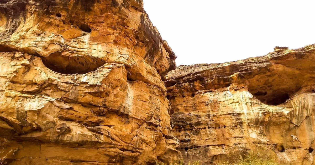 Dans la brousse, ces visages de pierre qui vous observent