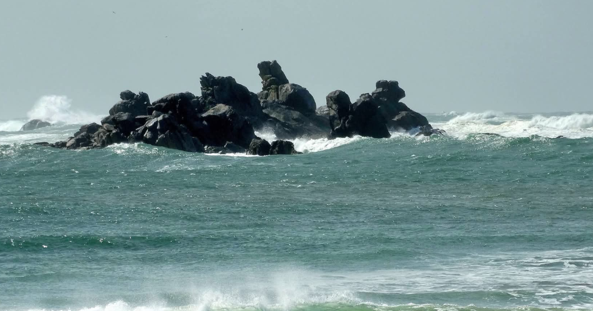 LE PALAIS DES DESTINÉES