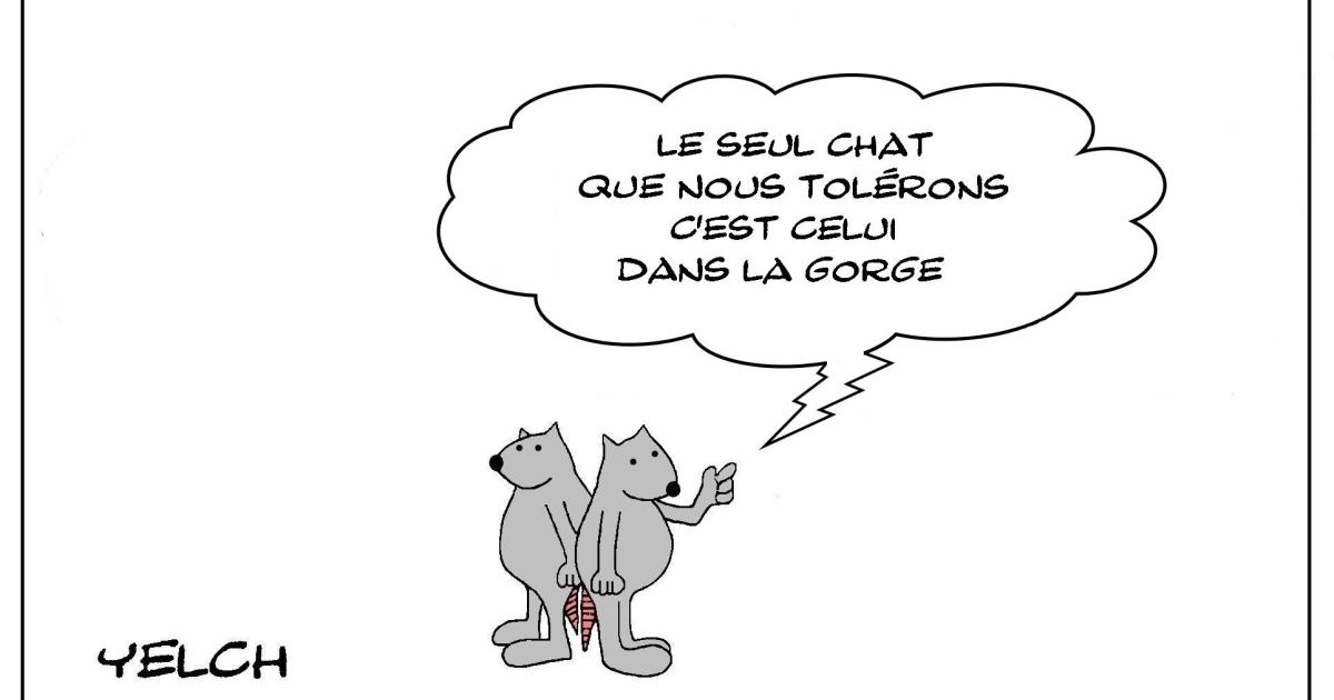 Le chat dans la gorge