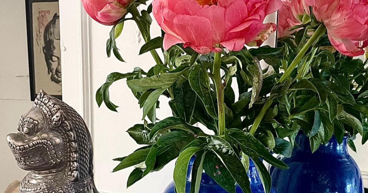 Le bois sacré en sort bonne