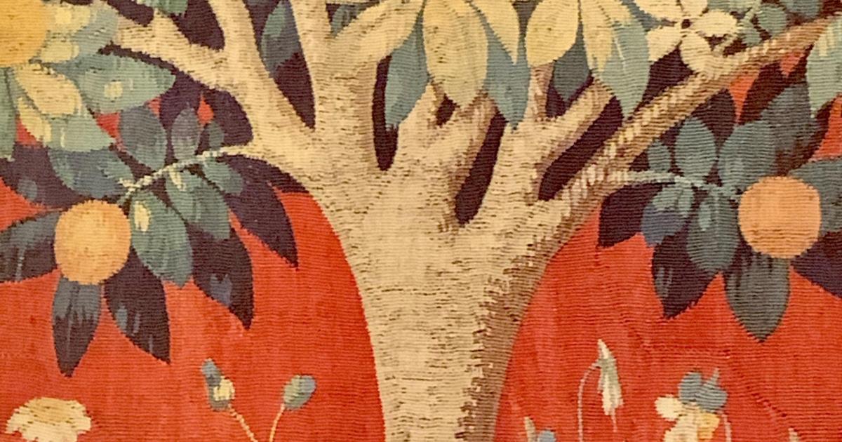 Le pommier de misère