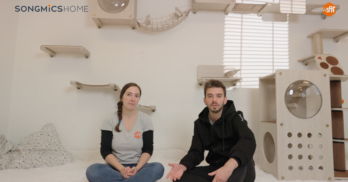 SONGMICS HOME s'associe à la « SPA » dans un nouveau partenariat