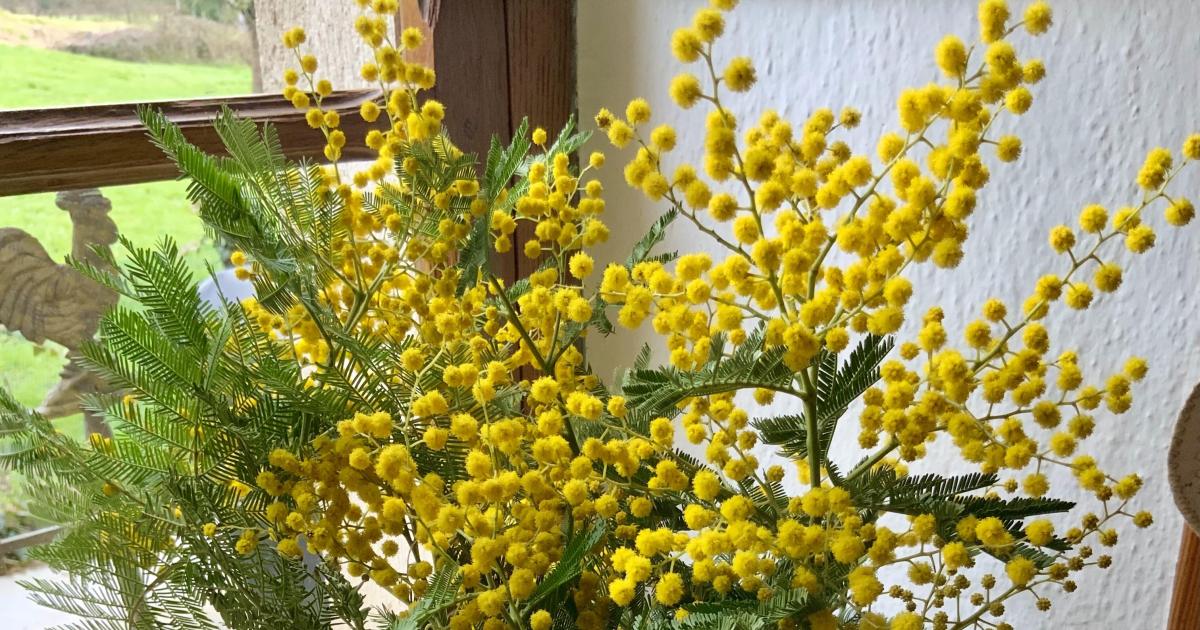Votre bouquet de ce dimanche