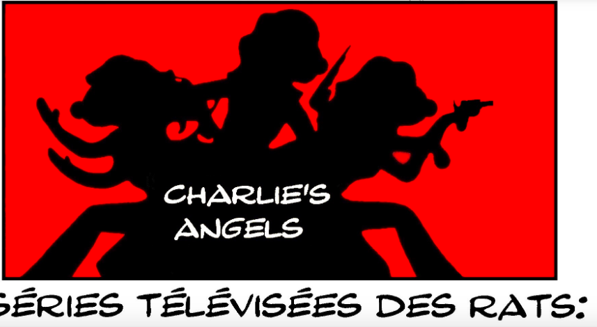 les séries télévisées des rats : drôles de dames