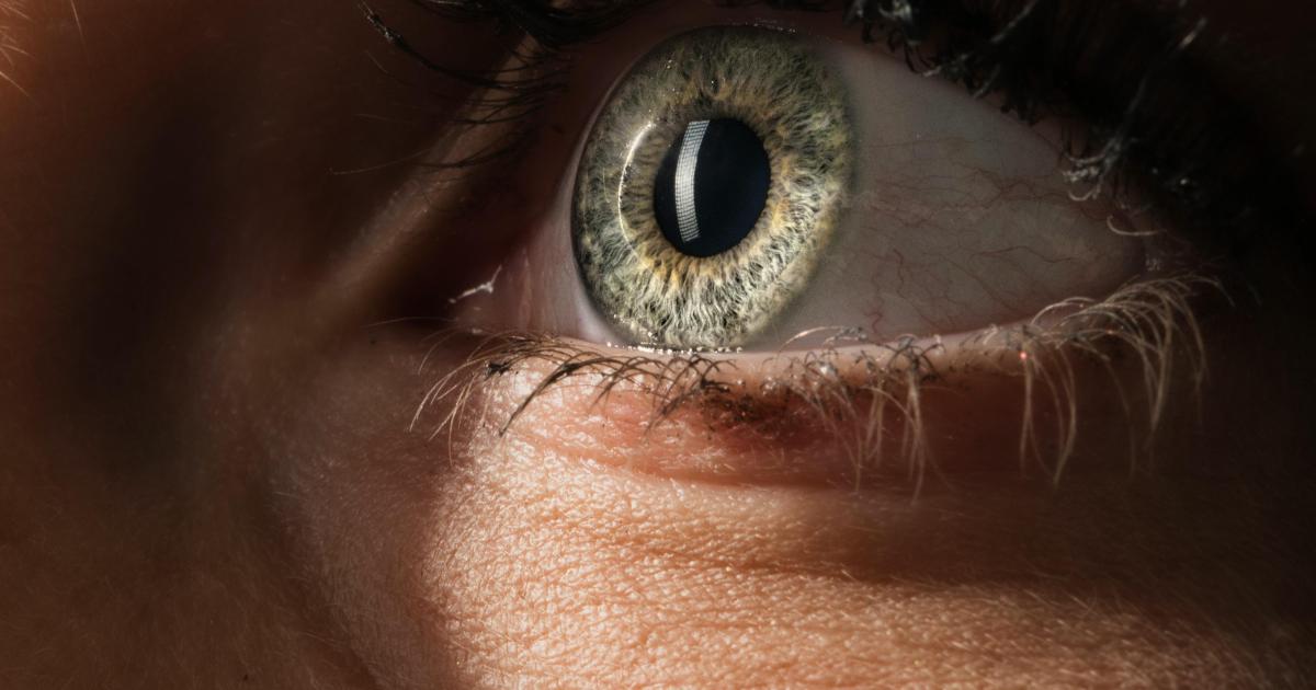 Conversation sur allier passion et lucidité.