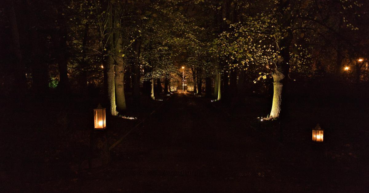 Le secret de Bil LE BOCQUET