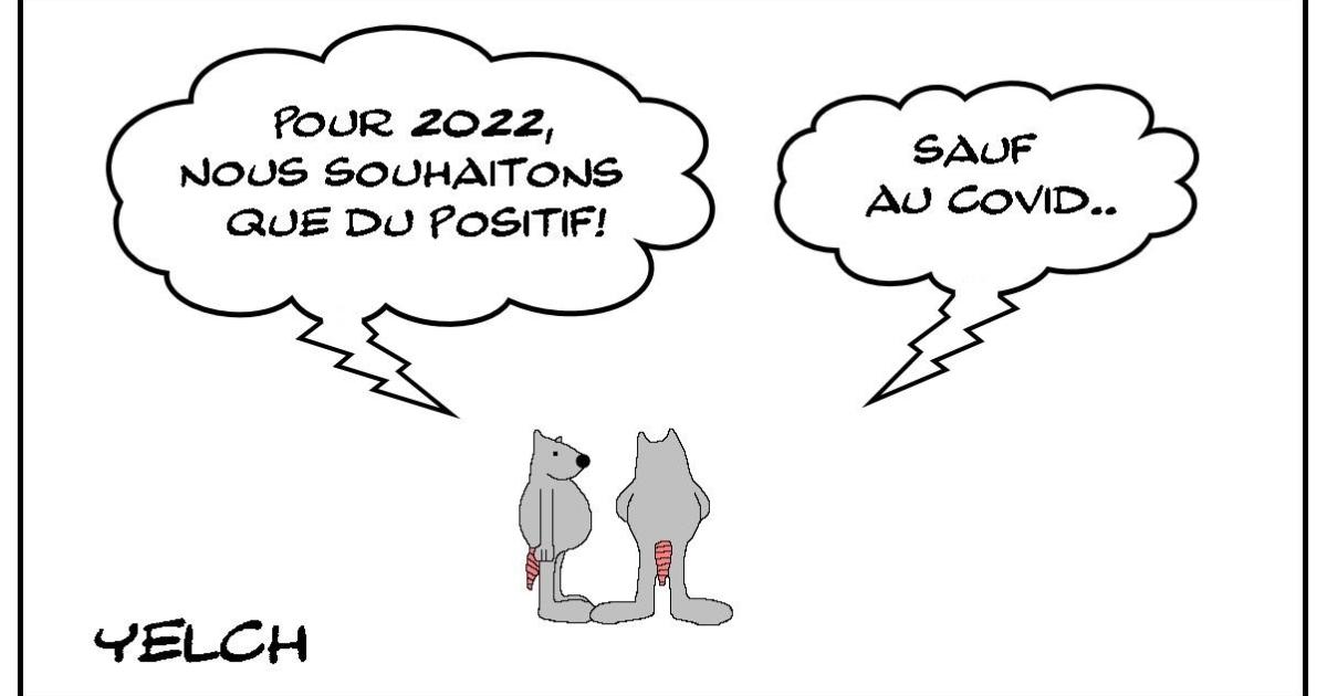 Année 2022 positive mais pas à tout