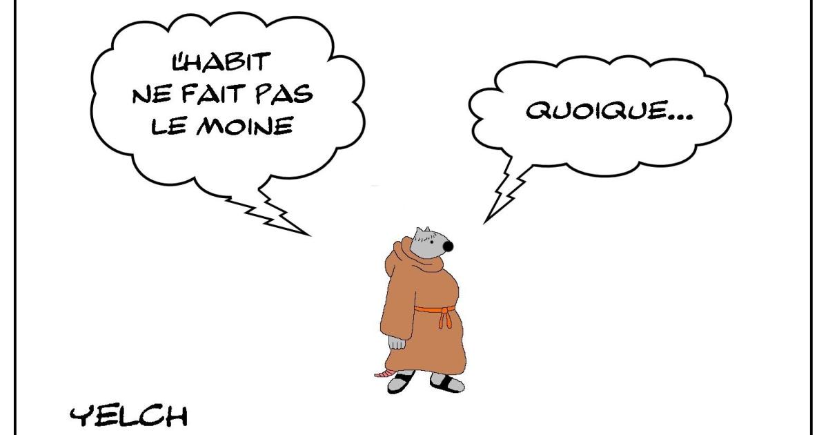 Le rat moine