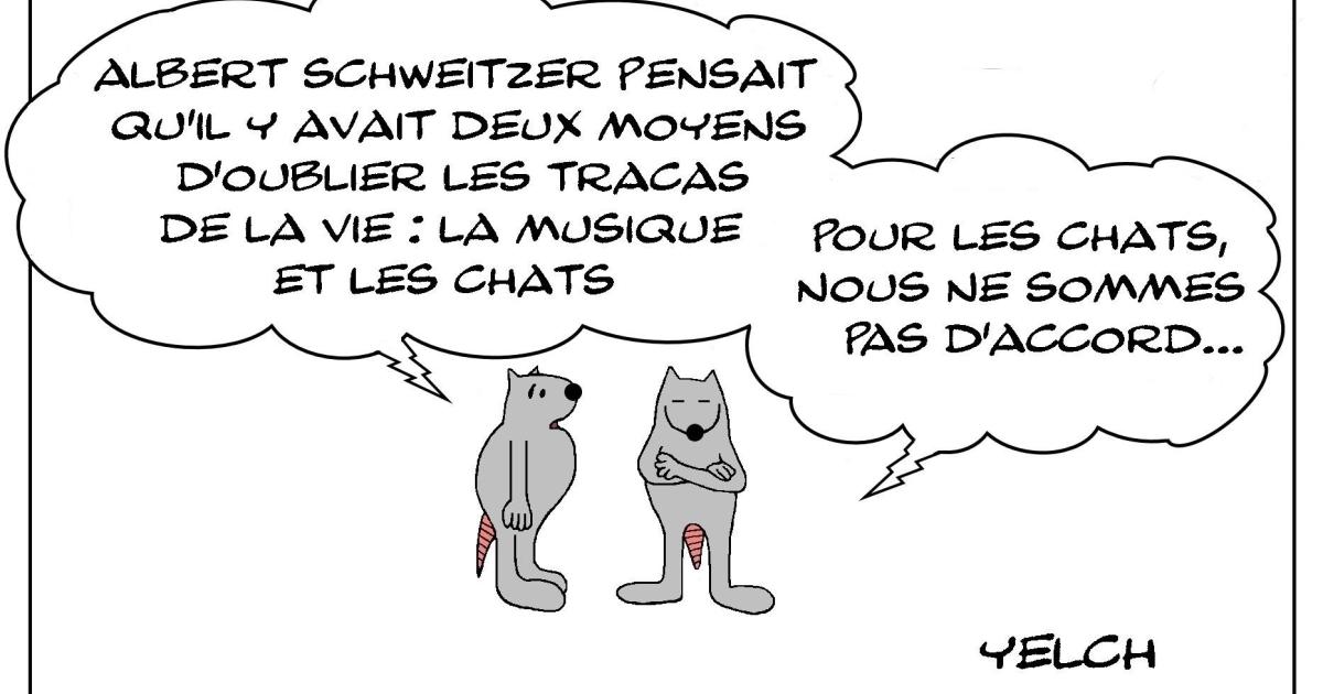 Les rats et les chats et la musique