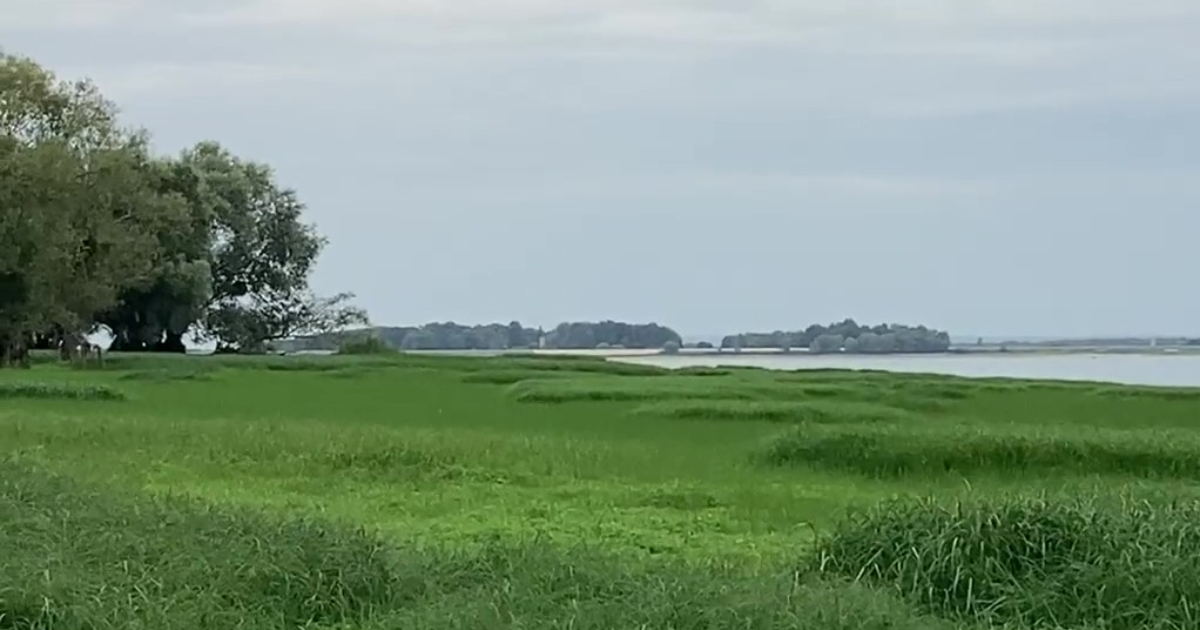 Catway 47 - Lac de la forêt d’Orient – Septembre