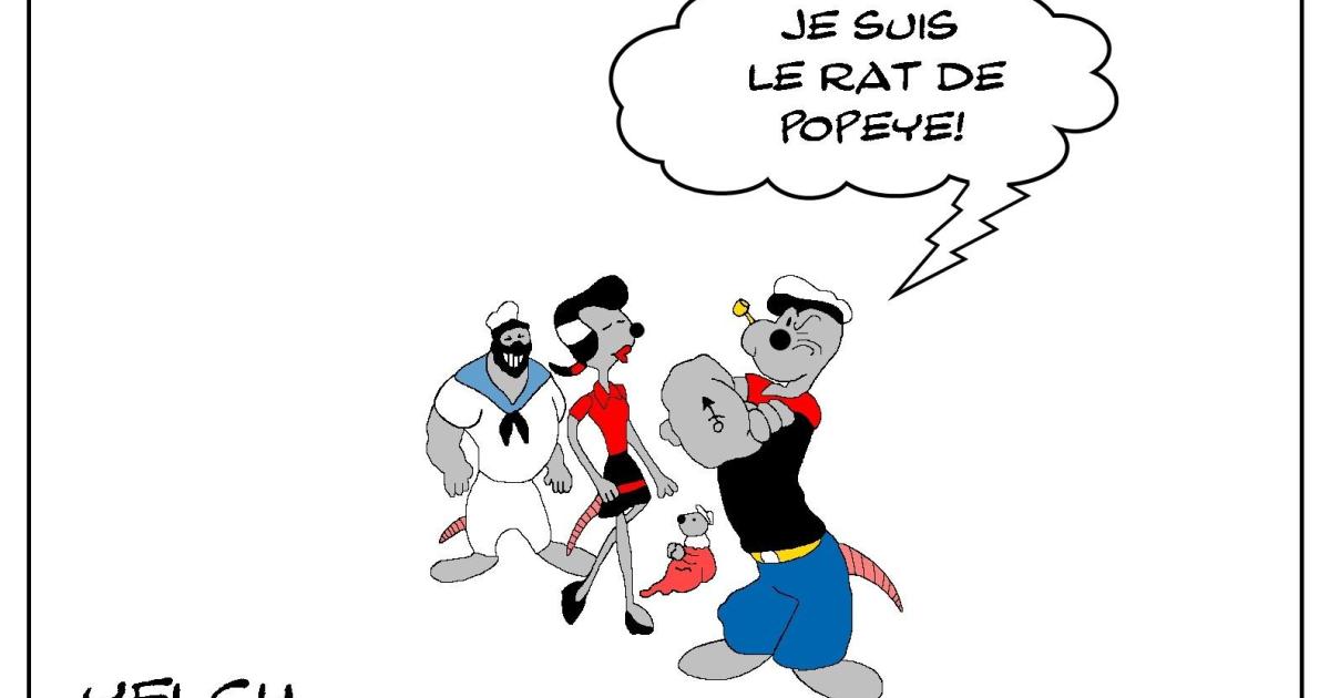 Le rat de Popeye