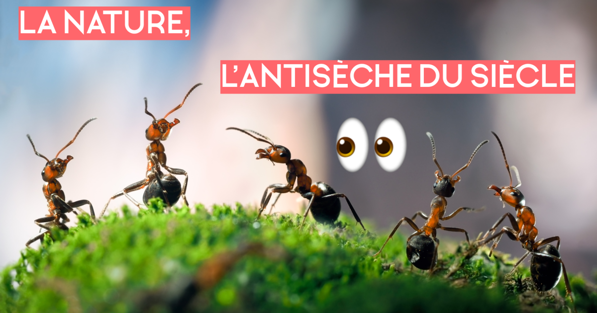 La Nature, l'Antisèche du siècle !