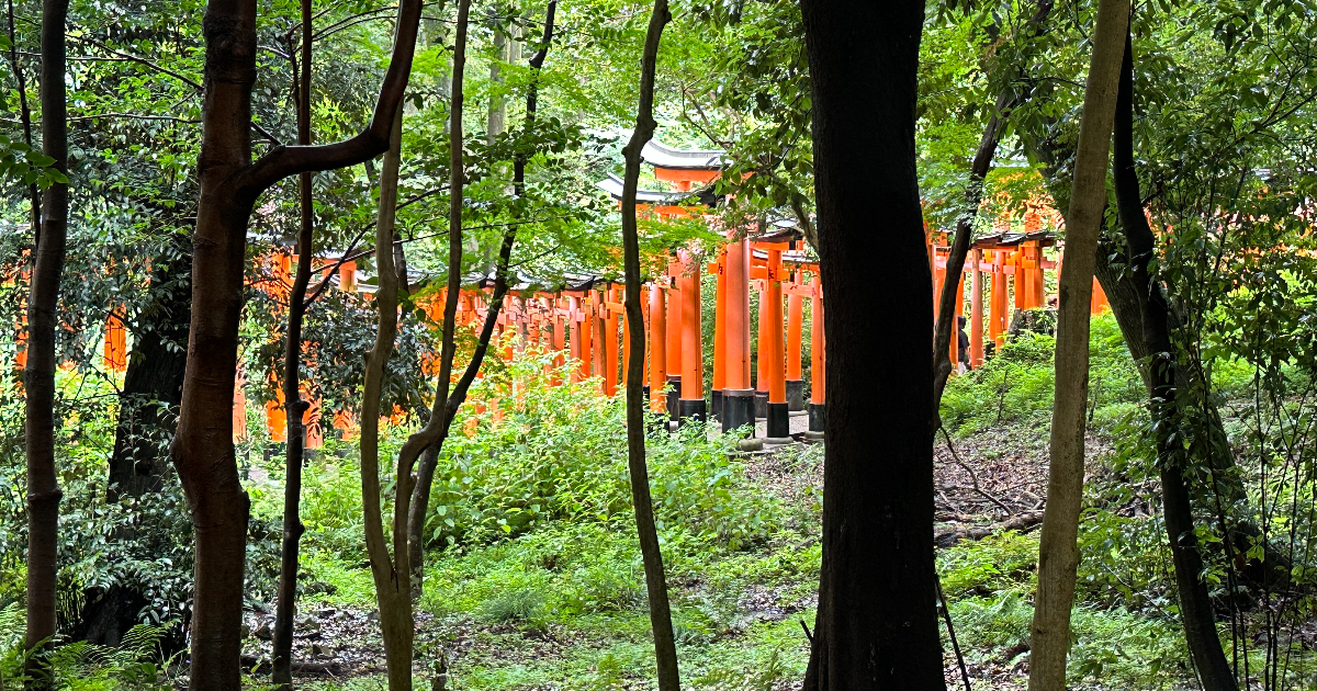Haiku du printemps