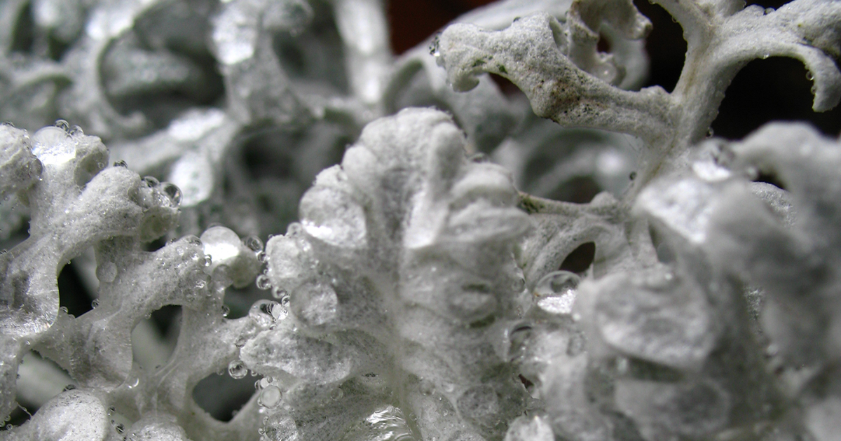 #LinkTober2025 : Vacant