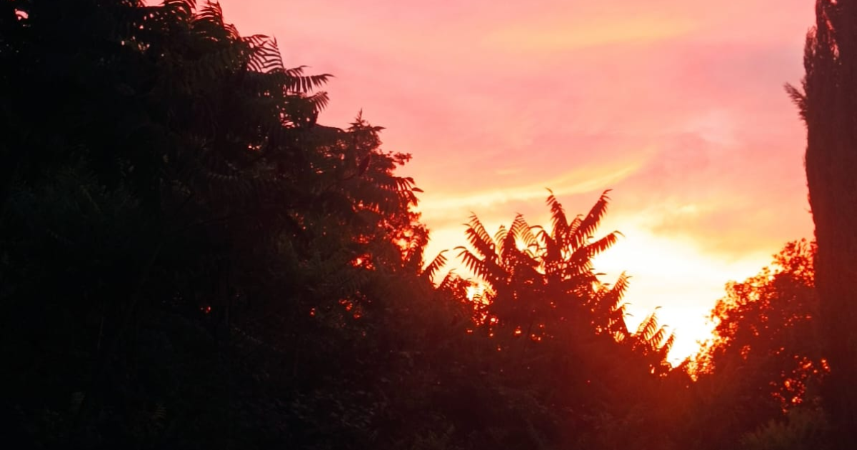 Tu n'as jamais été mien