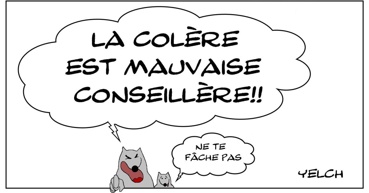 Ne nous fâchons pas...