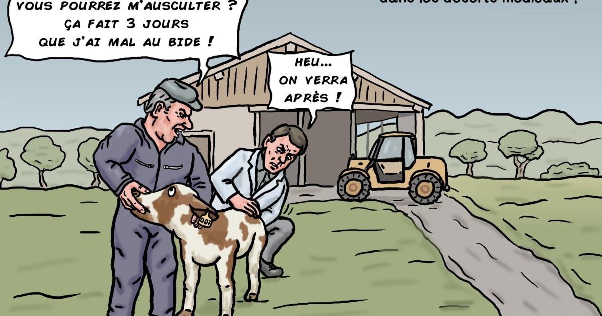 Une solution pour les déserts médicaux !