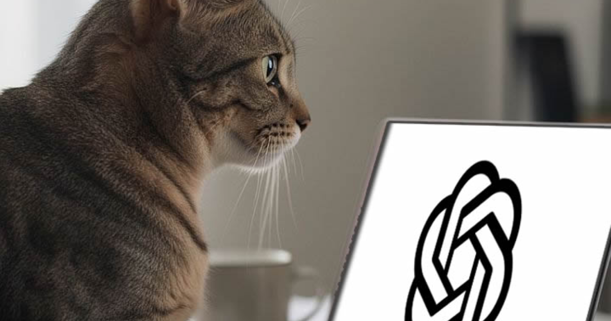 Le chat de 2026
