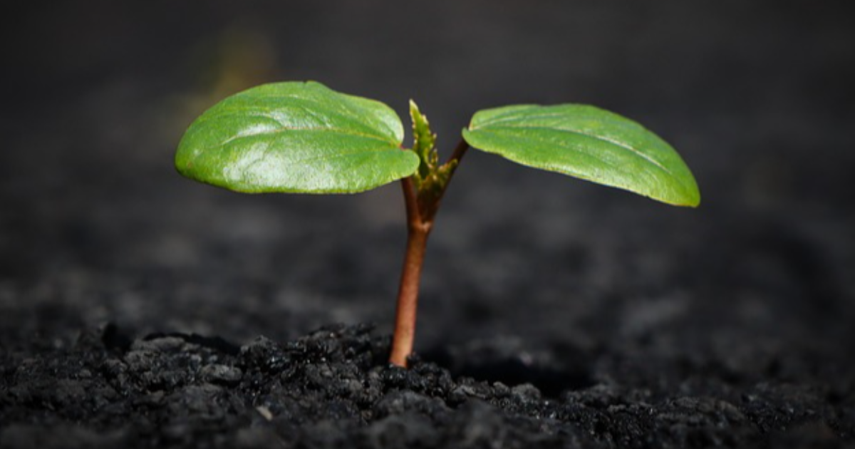 régénération vitale