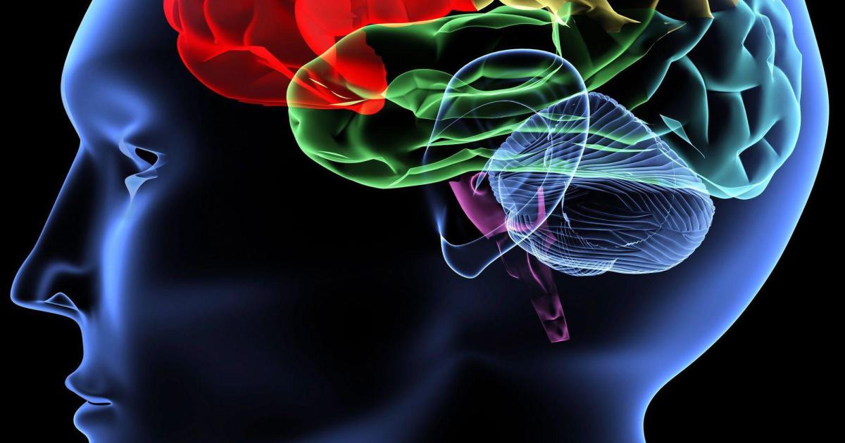 Conversation sur le plaisir d'être une cause.