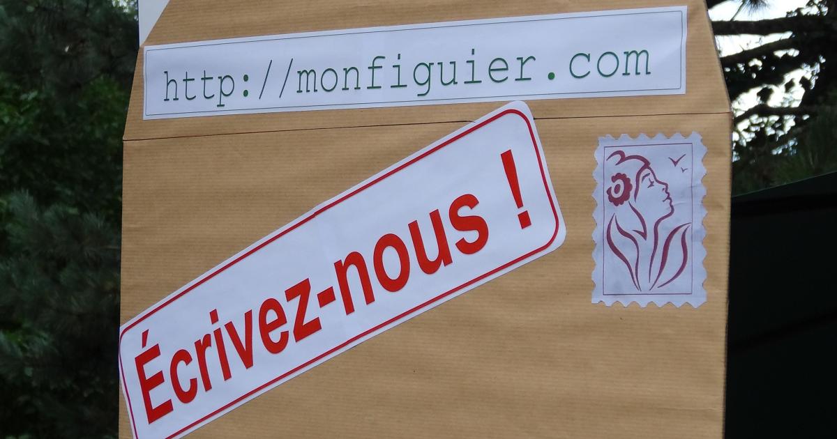 Trop de mots, vraiment ?