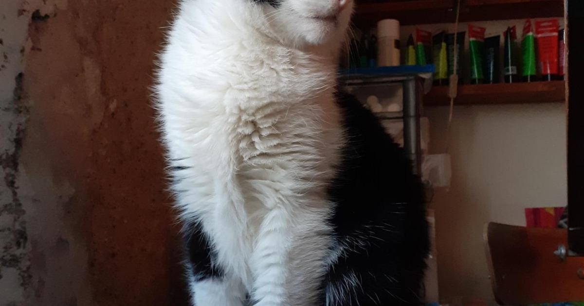 J'ai creusé un trou dans le jardin.