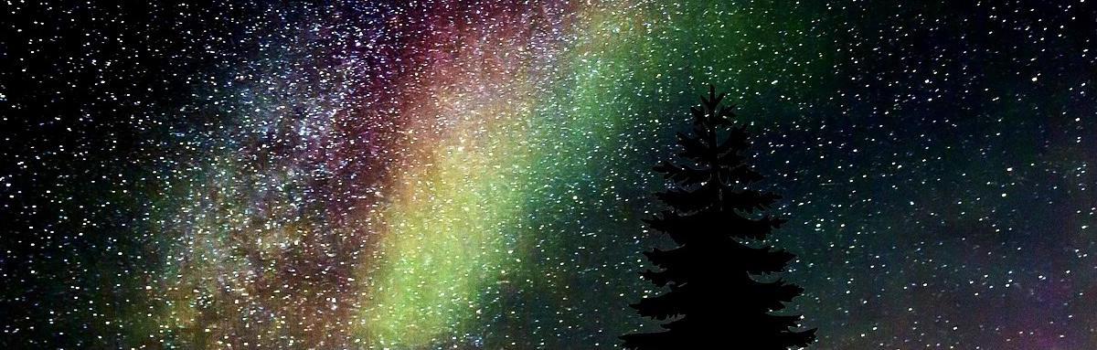 Alexandrine de Césure